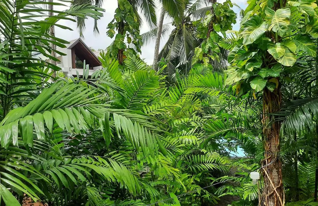 Nirmala Villa-1