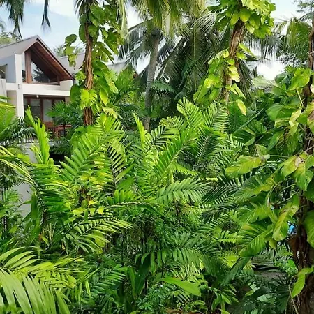 Nirmala Villa-3